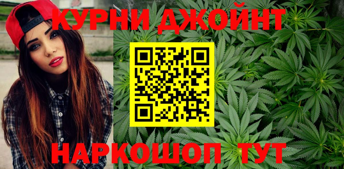 Бошки марихуана конопля Сургут